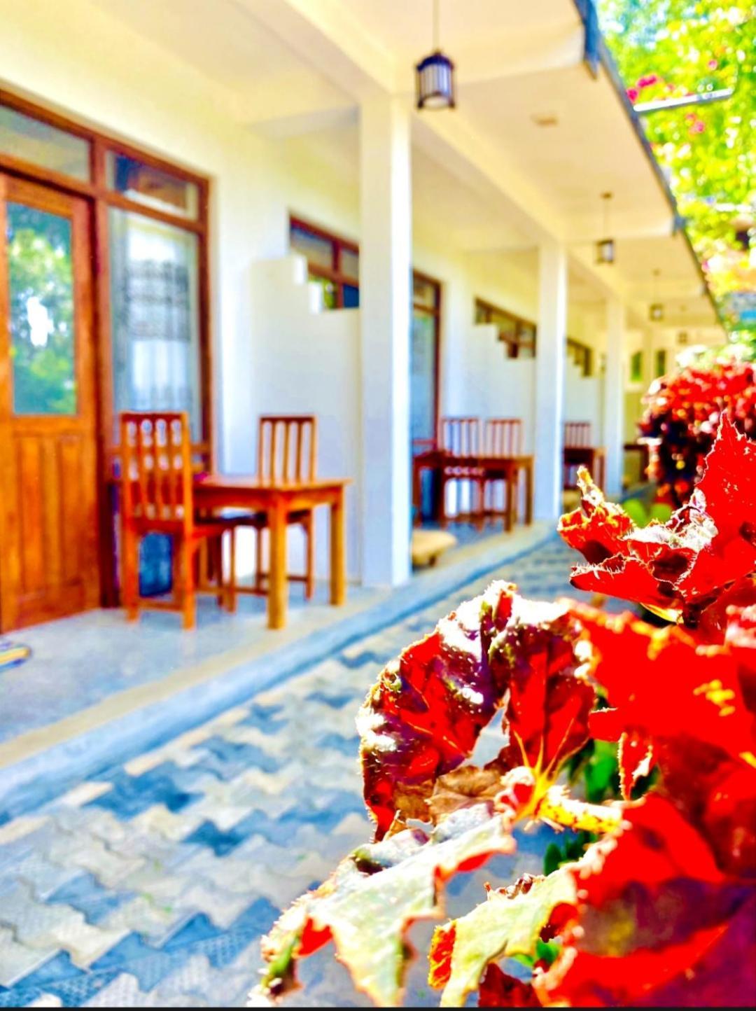 Готель Blissful Haven Елла Екстер'єр фото
